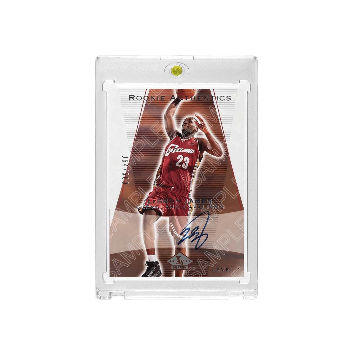 Cavaliers LeBron James Rookie Authentics Basketball Card with Display Case