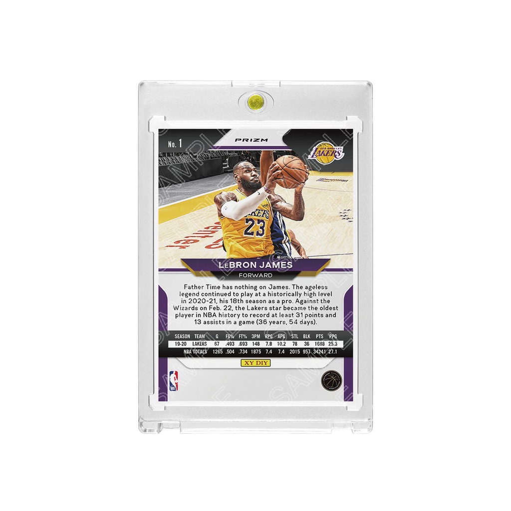 Lakers LeBron James Prizm Snake Pattern Refractor Card with Display Case